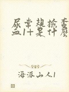 尿常规检查尿隐血1+是什么意思