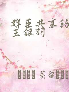 群臣共享的小公主银羽