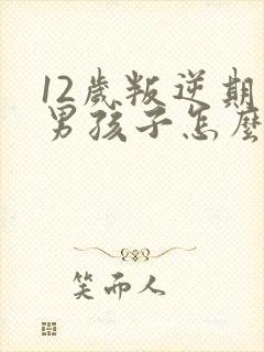 12岁叛逆期的男孩子怎么去引导