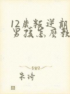 12岁叛逆期的男孩怎么教育