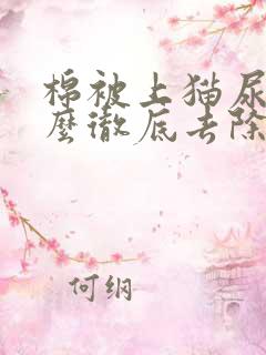 棉被上猫尿味怎么彻底去除