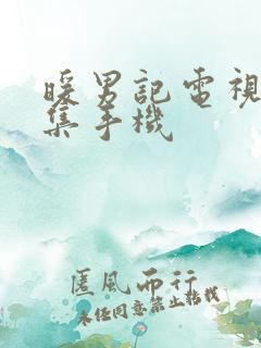 暖男记电视剧全集手机