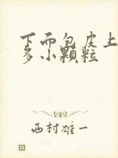 下面包皮上有很多小颗粒