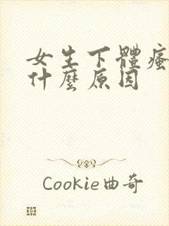 女生下体瘙痒是什么原因