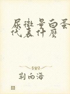 尿微量白蛋白高代表什么