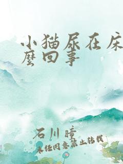 小猫尿在床上怎么回事