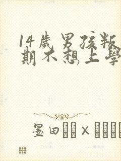 14岁男孩叛逆期不想上学怎么办