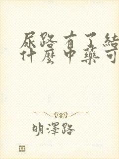 尿路有了结石吃什么中药可以排出