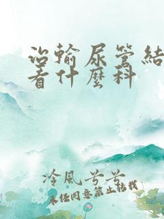 治输尿管结石该看什么科