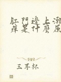 肛门边上潮湿瘙痒是什么原因