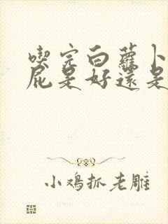 吃完白萝卜总放屁是好还是坏