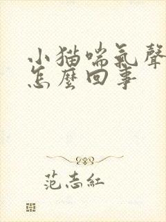 小猫喘气声音大怎么回事