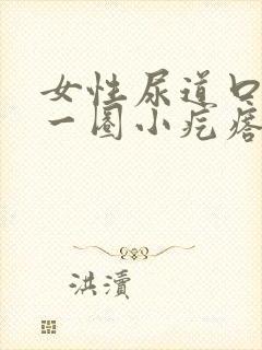 女性尿道口里长一圈小疙瘩