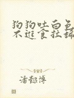 狗狗吐白色粘液不进食拉稀