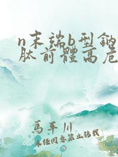 n末端b型钠尿肽前体高危险吗