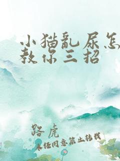 小猫乱尿怎么办教你三招