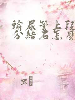 输尿管上段1公分结石怎么治疗