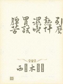 脾胃湿热引起口苦该吃什么药调理