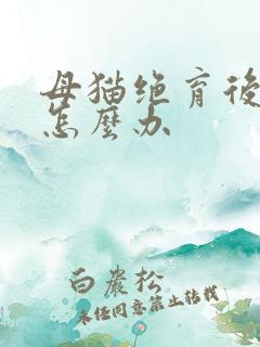 母猫绝育后乱尿怎么办