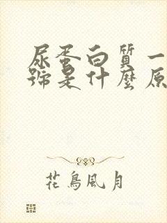 尿蛋白质一个加号是什么原因