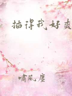 插得我好爽视频