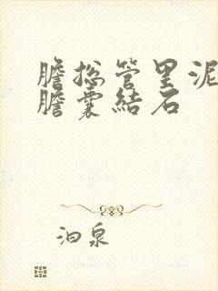 胆总管里泥沙型胆囊结石