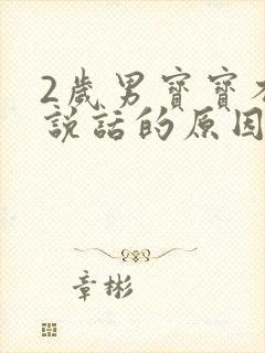 2岁男宝宝不会说话的原因