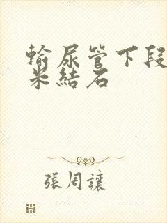 输尿管下段2毫米结石