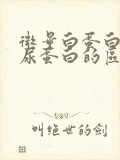 微量白蛋白尿和尿蛋白的区别