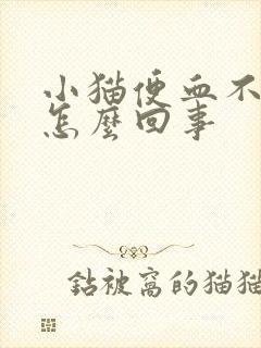 小猫便血不拉稀怎么回事