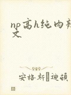 np高h纯肉辣文