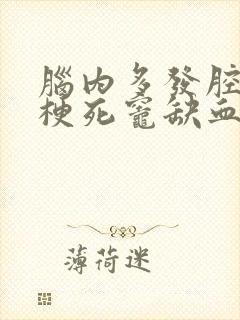 脑内多发腔隙性梗死灶缺血灶