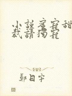 小说蜜宠甜妻总裁请独宠