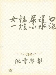 女性尿道口起了一堆小水泡