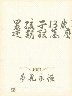 男孩子13岁叛逆期该怎么沟通