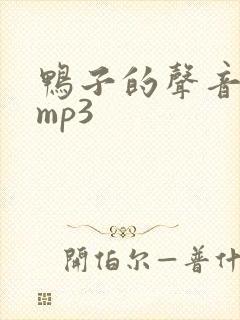 鸭子的声音音效mp3