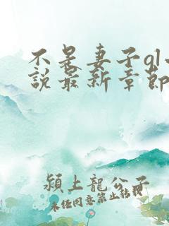 不是妻子gl小说最新章节更新内容