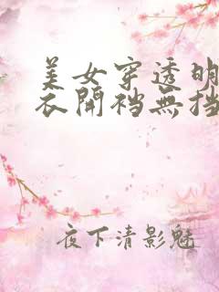 美女穿透明连体衣开裆无挡