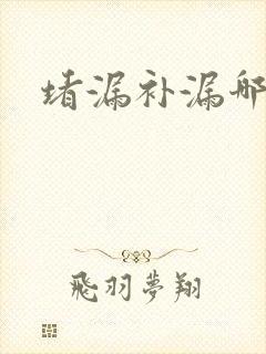 堵漏补漏哪家好