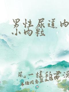 男性尿道内口长小肉粒