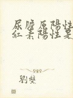 尿胆原阳性尿胆红素阳性是什么意思