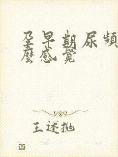 孕早期尿频是什么感觉