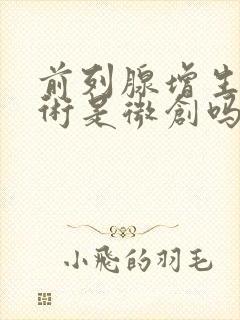 前列腺增生电切术是微创吗