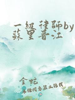 一级律师by木苏里晋江