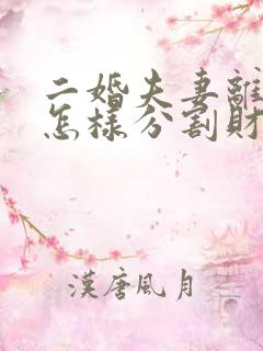 二婚夫妻离婚后怎样分割财产