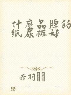 什么品牌的成人纸尿裤好