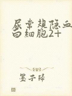 尿常规隐血1+白细胞2+