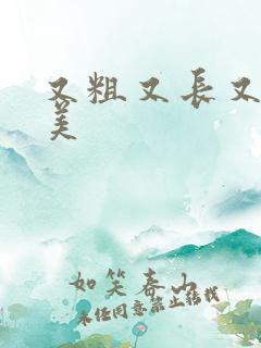 又粗又长又大欧美