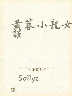 黄蓉小龙女h小说