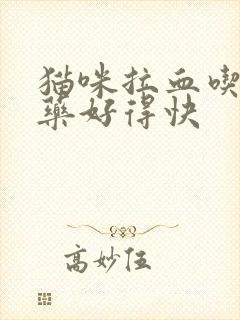 猫咪拉血吃什么药好得快